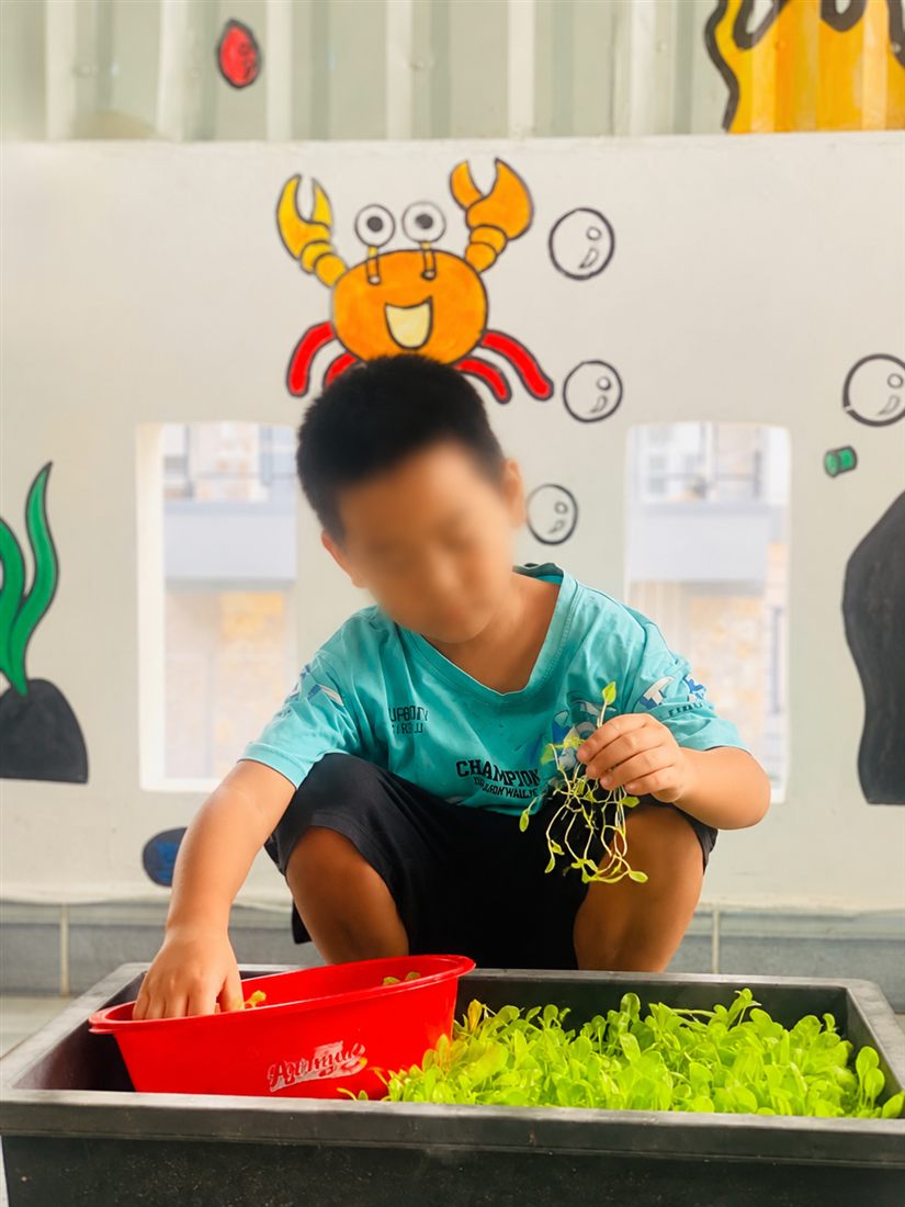 Trẻ tham gia hoạt động trải nghiệm trồng cây